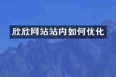 欣欣网站站内如何优化