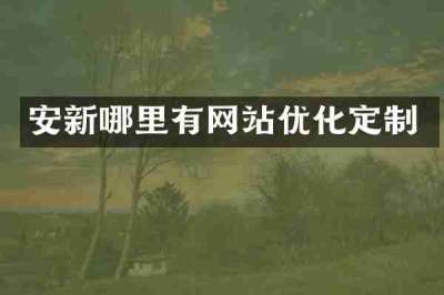 安新哪里有网站优化定制