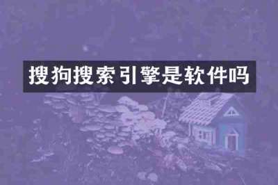 搜狗搜索引擎是软件吗