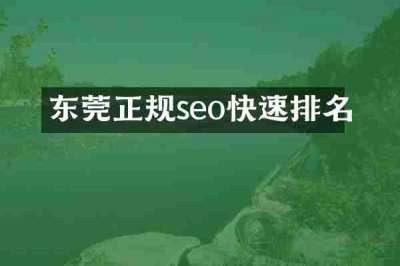 东莞正规seo快速排名