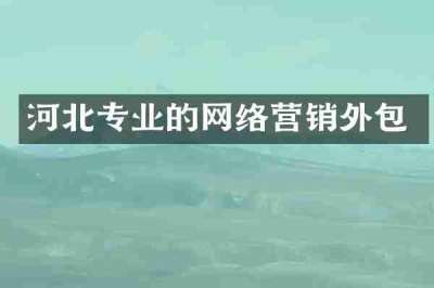 河北专业的网络营销外包