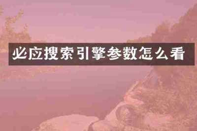 必应搜索引擎参数怎么看