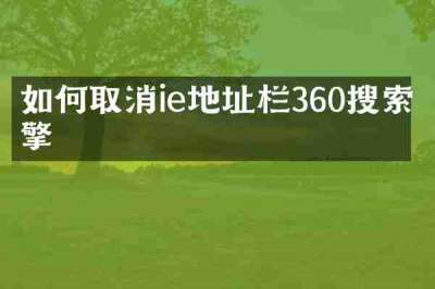 如何取消ie地址栏360搜索引擎
