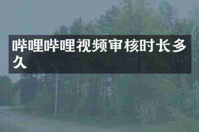 哔哩哔哩视频审核时长多久