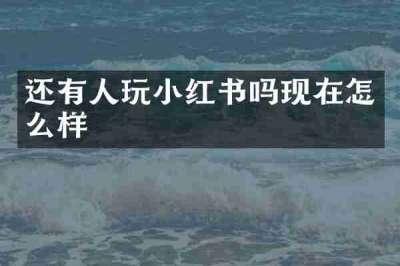 还有人玩小红书吗现在怎么样