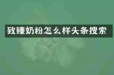 致臻奶粉怎么样头条搜索