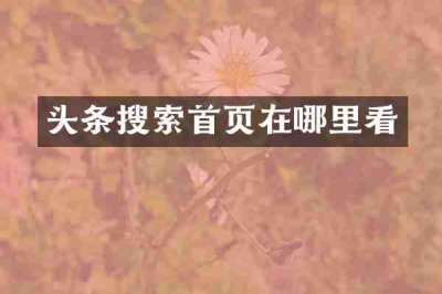头条搜索首页在哪里看