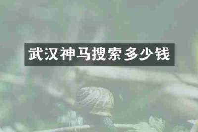 武汉神马搜索多少钱