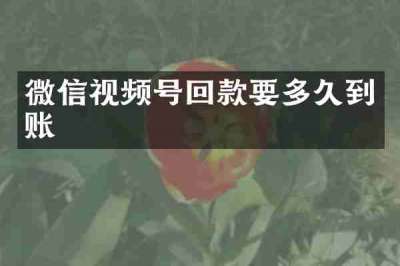 微信视频号回款要多久到账