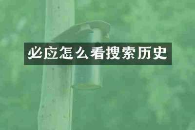 必应怎么看搜索历史