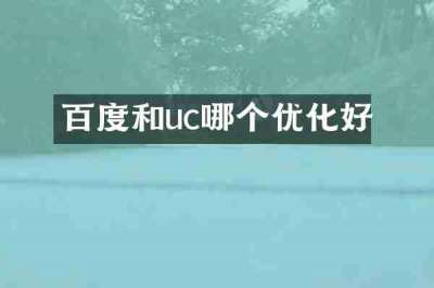 百度和uc哪个优化好