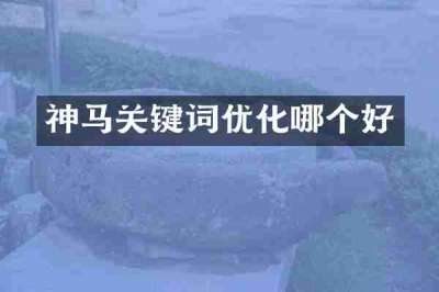 神马关键词优化哪个好