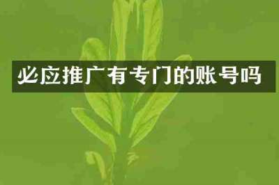必应推广有专门的账号吗