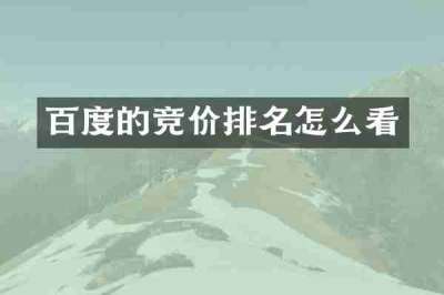 百度的竞价排名怎么看