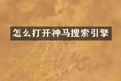 怎么打开神马搜索引擎