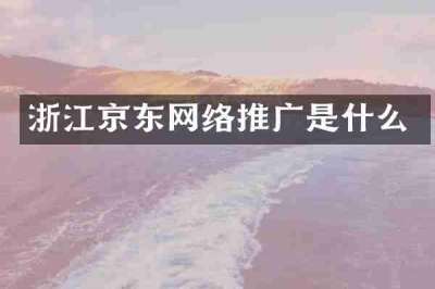 浙江京东网络推广是什么