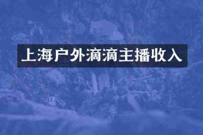上海户外滴滴主播收入