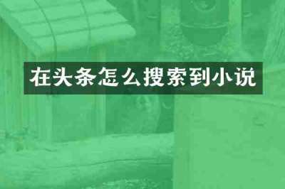 在头条怎么搜索到小说