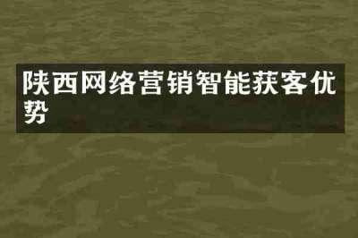陕西网络营销智能获客优势