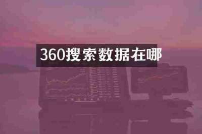 360搜索数据在哪
