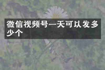 微信视频号一天可以发多少个