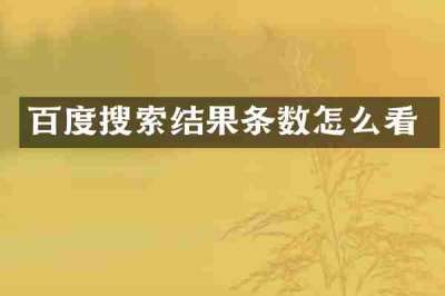 百度搜索结果条数怎么看