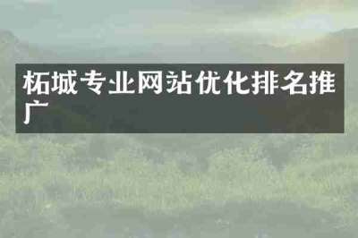 柘城专业网站优化排名推广