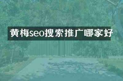 黄梅seo搜索推广哪家好