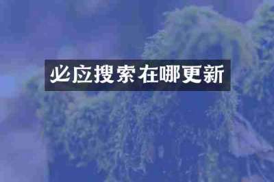 必应搜索在哪更新
