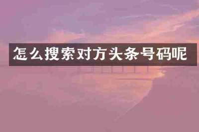 怎么搜索对方头条号码呢