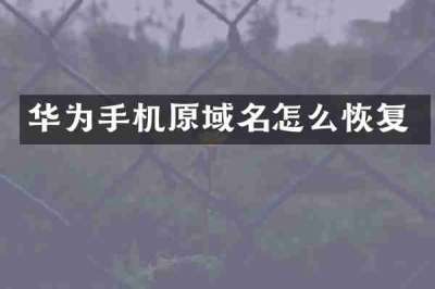华为手机原域名怎么恢复