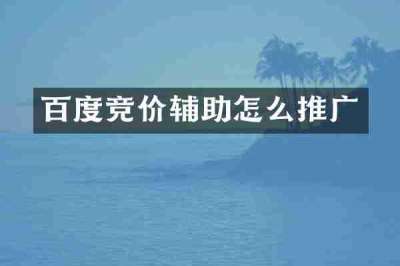 百度竞价辅助怎么推广