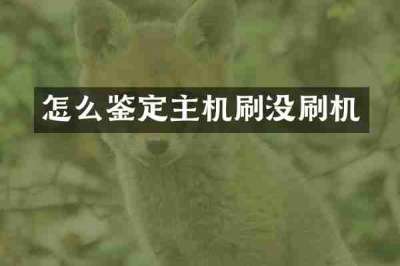怎么鉴定主机刷没刷机