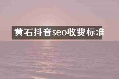 黄石抖音seo收费标准