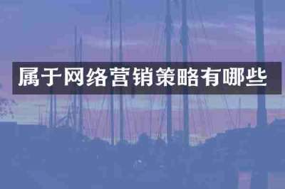 属于网络营销策略有哪些