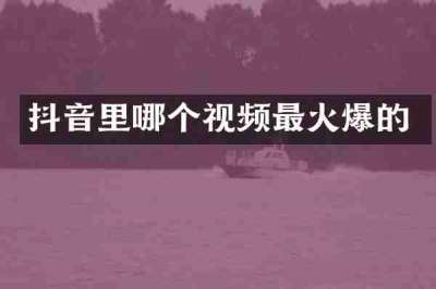 抖音里哪个视频最火爆的