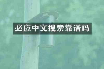 必应中文搜索靠谱吗