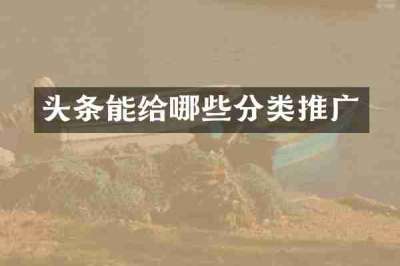 头条能给哪些分类推广