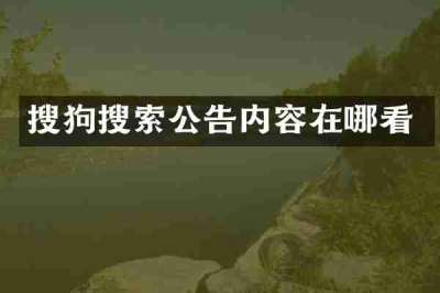 搜狗搜索公告内容在哪看