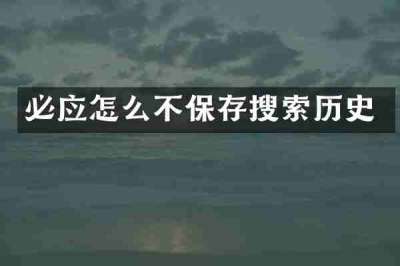 必应怎么不保存搜索历史