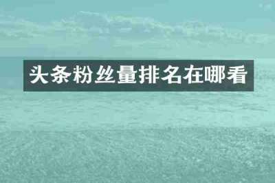 头条粉丝量排名在哪看