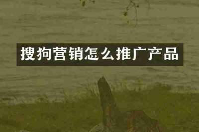 搜狗营销怎么推广产品