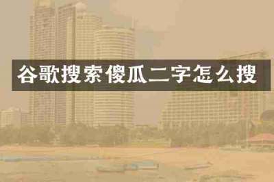 谷歌搜索傻瓜二字怎么搜