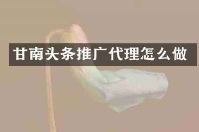 甘南头条推广代理怎么做