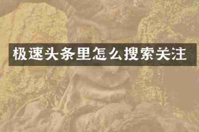 极速头条里怎么搜索关注