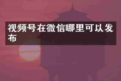 视频号在微信哪里可以发布