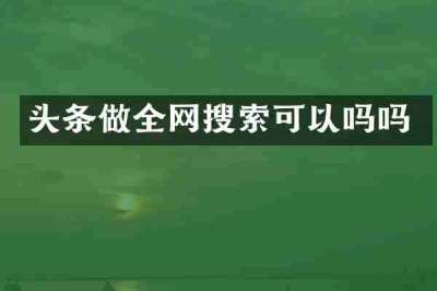 头条做全网搜索可以吗吗