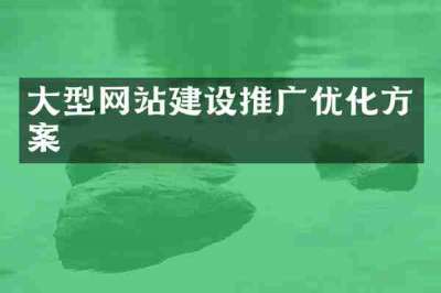 大型网站建设推广优化方案