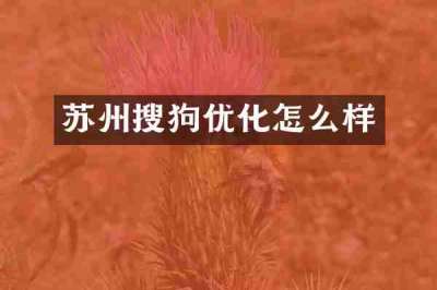 苏州搜狗优化怎么样