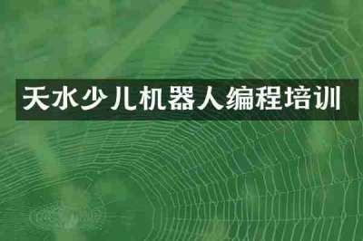 天水少儿机器人编程培训